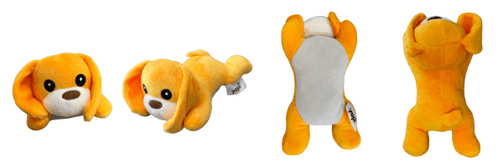 puppyies